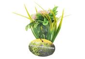 Aqua Dreams Planted Flower 15cm image
