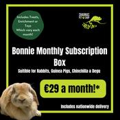 Shauna's Petshop Treat Box - *Bonnie - Monthly Subscription Box - Subscribe for only €29 a month by clicking the link in the description!