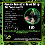 Juvenile Terrestrial Snake Set Up image