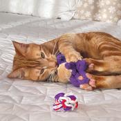 Kong Cat Active Rope Toy image
