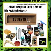 Silver Leopard Gecko Complete Setup image