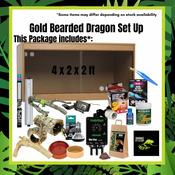 Bearded Dragon Gold Setup image