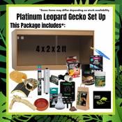 Platinum Leopard Gecko Complete Setup image