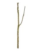ProRep Cork Branch Large  (80-100CM)