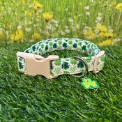 Green and White Shamrock Collar image