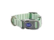 Ancol SoHo Collar - Green Stripe image