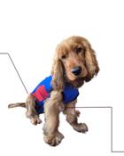 VetInnovate Post Surgical Suit image