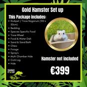 Gold Hamster Setup (Recommended For Male Syrians Or Dwarf Hamsters Only). Hamster Not Included image