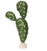 HabiStat Cacti - Prickly Pear image