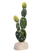 HabiStat Cacti - Bunny Ears image
