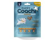 Coachi Chicken Training Treats - Puppy 100g image
