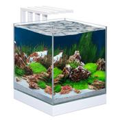 Ciano Nexus Pure 25 Cube Aquarium With LED Light image