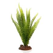 Betta Terra Shuttlecock Fern 31cm image