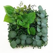 Betta Terra Eucalyptus Garden Mat 25cm x 25cm image