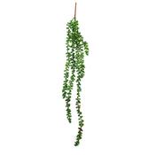 Betta Terra Green/Red Vine 70cm image