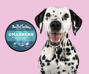 The Holistic Hound - Gnashers image