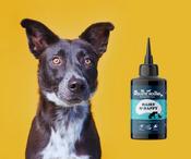 The Holistic Hound - Hairy &amp; Happy (formerly Ticked Off) image