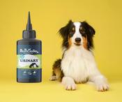 The Holistic Hound Fundamentals: Urinary image
