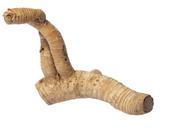 HabiStat Bamboo Root Medium image