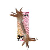 Dne Hofman Addicted Stick With Caterpillar And Feathers image