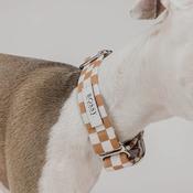 Bossy Desert - Martingale Dog Collar image