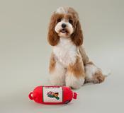 Chewffon - sausage snuffle toy image