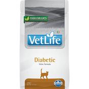 VetLife Diabetic For Cats 400g image