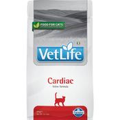 VetLife Cardiac For Cats 400g image