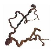 Barcoded Wine Wood L 80-100cm image