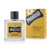Proraso Wood and Spice Beard Balm