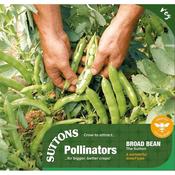 Suttons Seeds Broad Bean - The Sutton   image