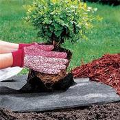 Weed Control  Fabric 1 X 12m Roll Plus 50% Free image