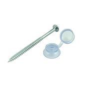 Corrugated Sheet Fixings Clear Screw &amp; Cap
