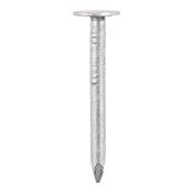 Galvanized Clout Nails 40 x 3.35mm 1Kg   image