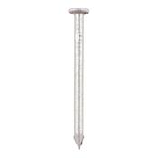 Galvanized Round Wire Nails 100 x 4.50mm 1Kg  