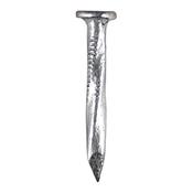 Galvanized Square Twist Nails 30 x 3.75mm 1Kg   image