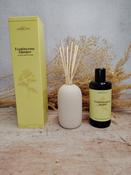 Frankincense &amp; Juniper Diffuser image