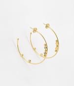 Creole Earrings image