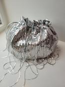 Della Bag - Silver image