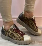 IGI &amp;amp; CO - leopard multi - trainer image