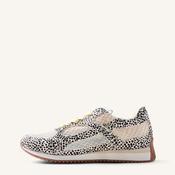 Gioseppo Animal Print and Mesh Trainer|78626 image