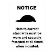 Equine Sign Riding Hat Notice