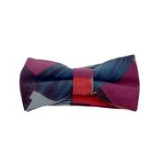 Blue Base Coloured Boys Bow Tie image