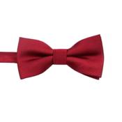 Boys Adjustable Deep Red Dickie Bow Tie image