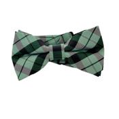 Boys Slight Sparkle Green Dickie Bow Tie image