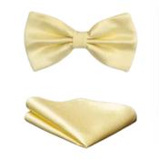 Chiffon Yellow Matching Bow Tie And Handkerchief Set image