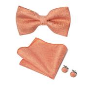 Paisley Orange Dickie Bow Tie And Hanky Set image