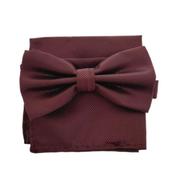 Patterned Brown Dickie Bow Tie And Hanky Set image