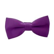 Purple Boys Dicky Bow Tie image