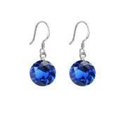 Small Dark Blue Drop Earrings With a Hook Drop image
